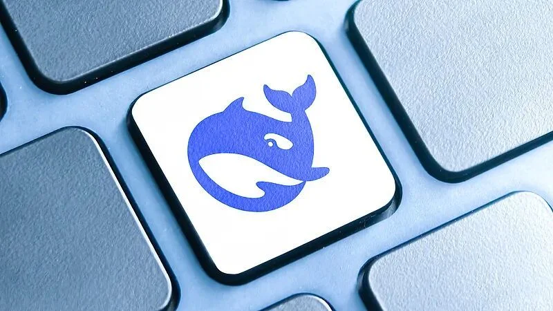 DeepSeek 数据推理吞吐流程